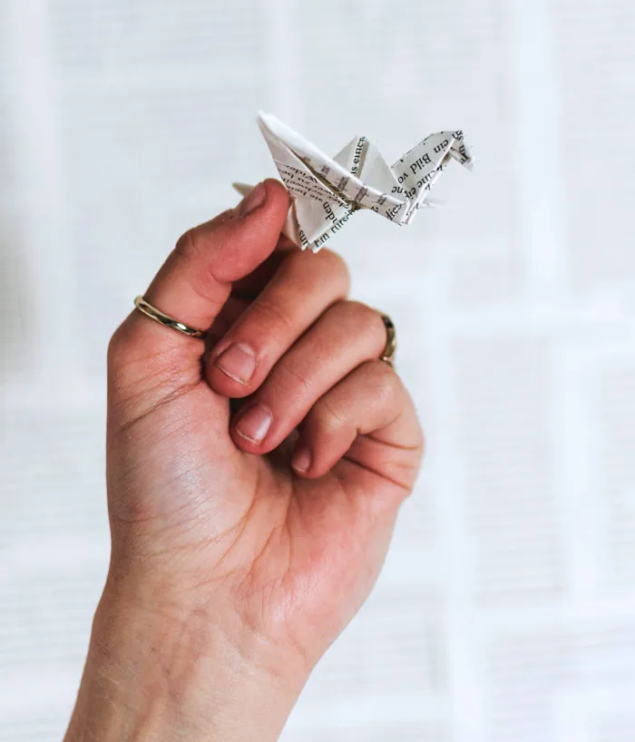 Learn How To Do Origami