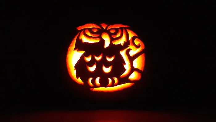 Bored Headless Roach Pumpkin Art - Cd