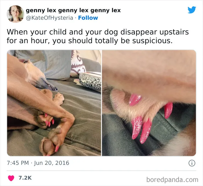 Moms Of Twitter Reveal Some Funny Things That Happen To Them While Raising Kids (50 Jokes)