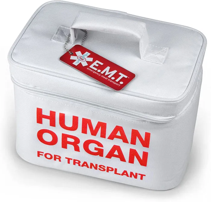 Zombie Lunch Bag