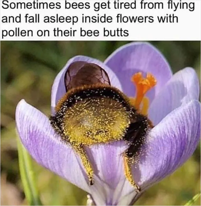Give-A-Shift-Nature