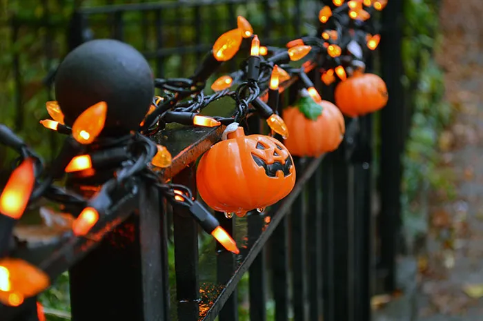 Decorating With Black And Orange