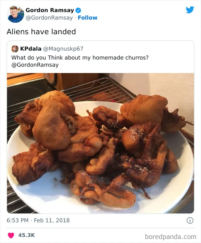 People Are Cracking Up At These 35 Roasts By Chef Gordon Ramsay