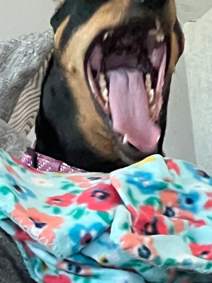 Aaaaaaaaaa