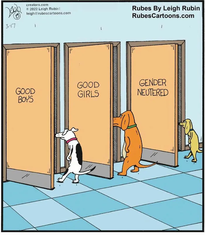 50 Humorous And Silly Comics By Rubes Cartoons