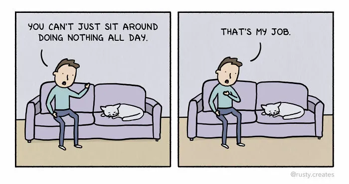 My 24 Comics With Silly Humor And Random Twists