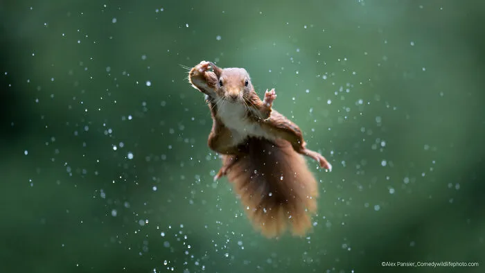 "Jumping Jack" By Alex Pansier
