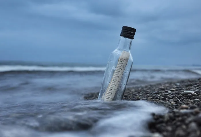 If You Found A Message In A Bottle At The Beach, What Do You Think It Would Say?