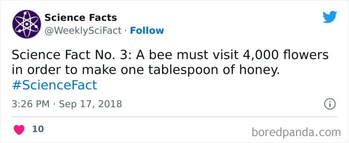 179 Science Facts That Are Deliciously Curious