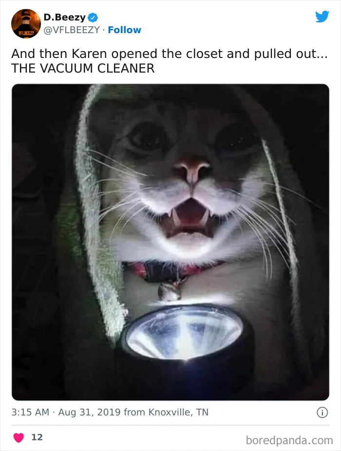 The Beast Known As Vakoom 