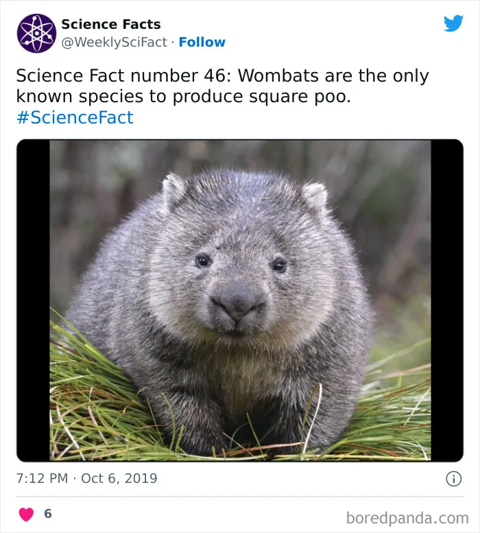 179 Science Facts That Are Deliciously Curious
