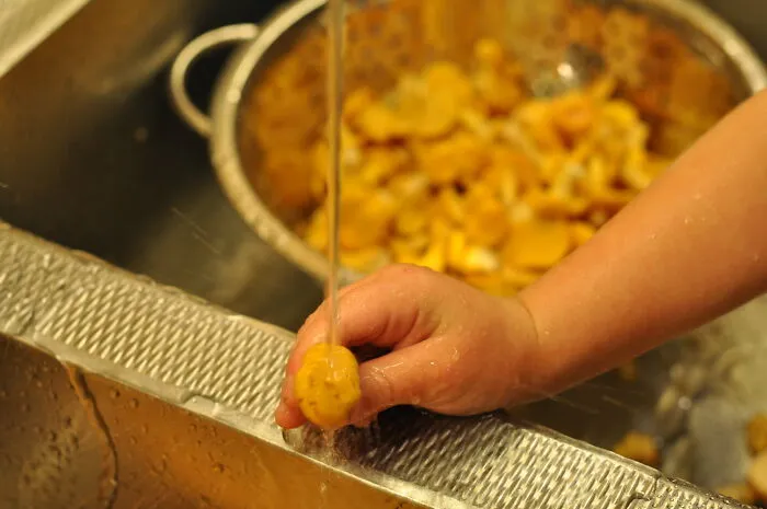 No Need To Wash Your Mushrooms