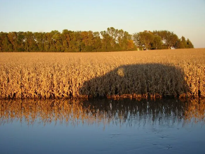 This Is What Caught My Eye For 'Ditchwater Sunset' I Turned Around And Came Back To Catch Both Pics!