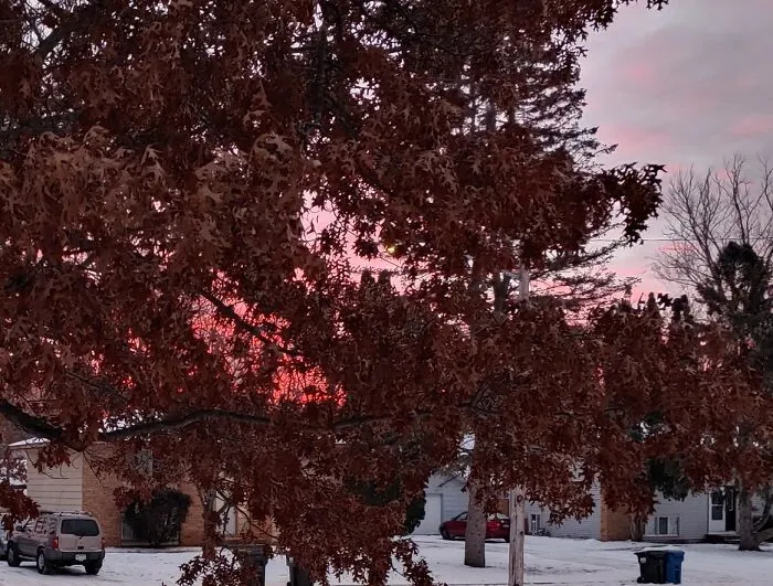 Winter Sunrise.  Suburban Minneapolis. Mn