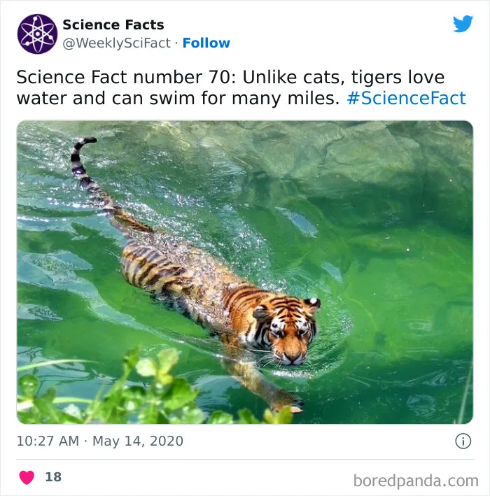 179 Science Facts That Are Deliciously Curious