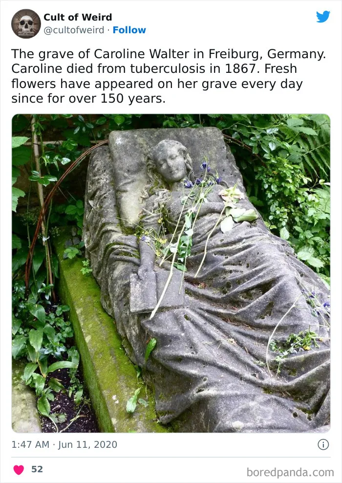 "Cult Of Weird": This Twitter Page Only Posts Creepy Stuff, And Here Are 30 Uneasy But Captivating Pics