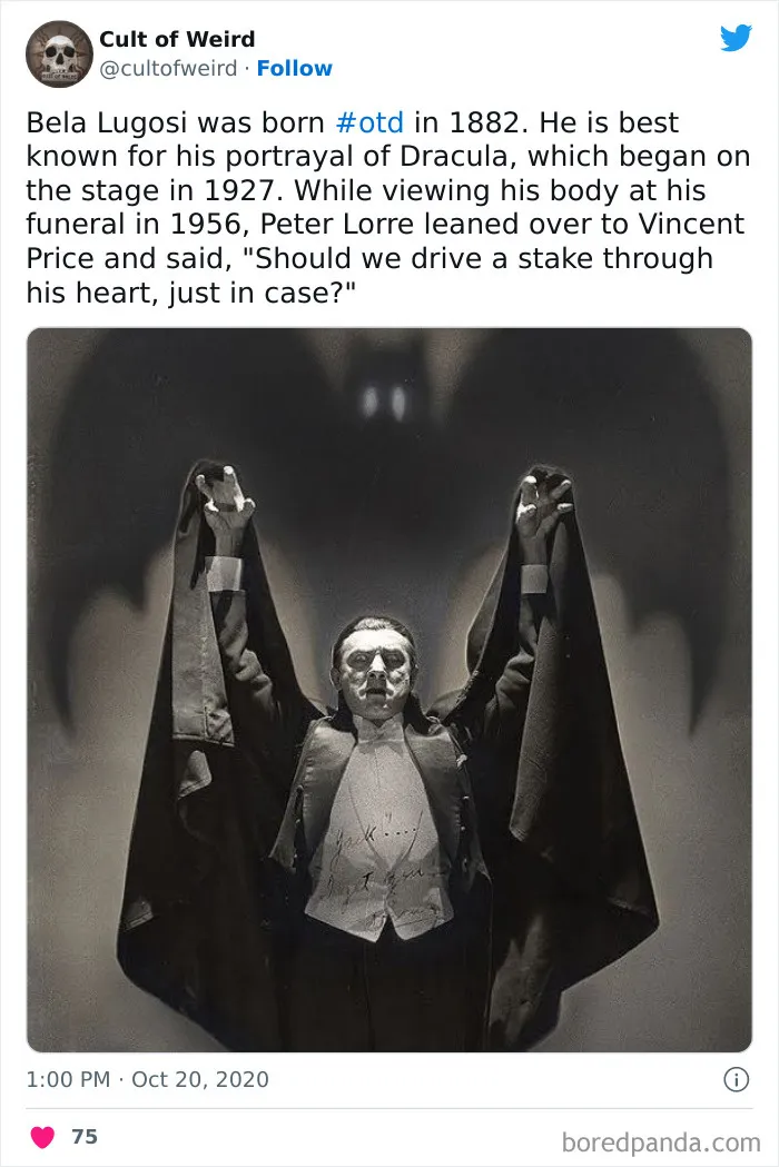 "Cult Of Weird": This Twitter Page Only Posts Creepy Stuff, And Here Are 30 Uneasy But Captivating Pics