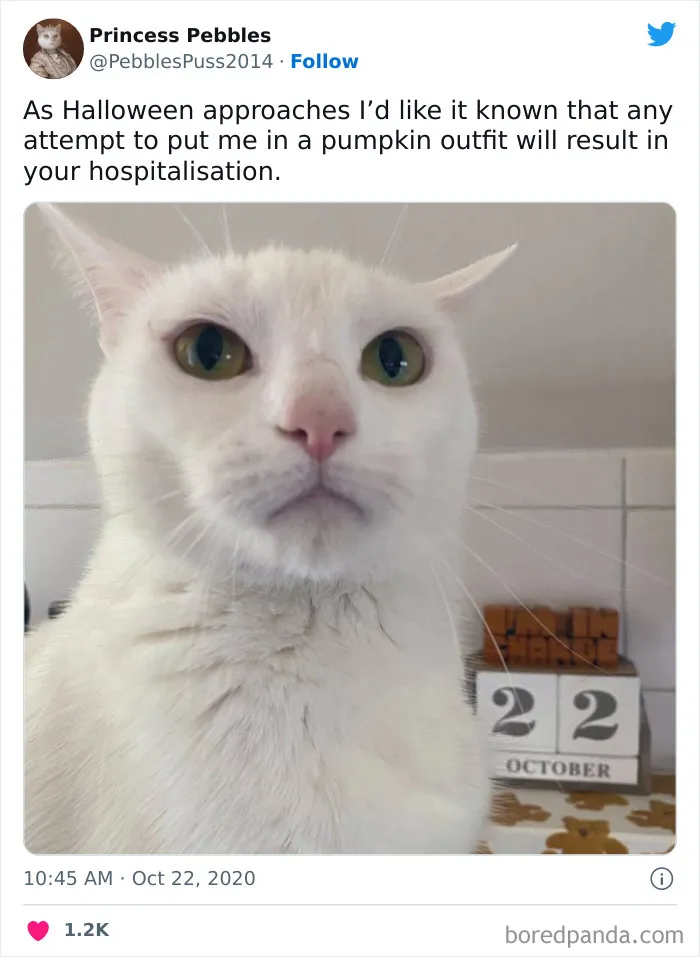 50 Times Halloween Tweets Did Not Disappoint