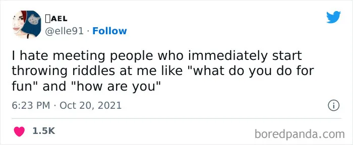I Love That Dogs Don’t Ask Me These Questions