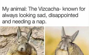 People Are Creating Memes About Nature And All Things Environment, Here Are 35 Of The Best Ones Shared On This Facebook Page
