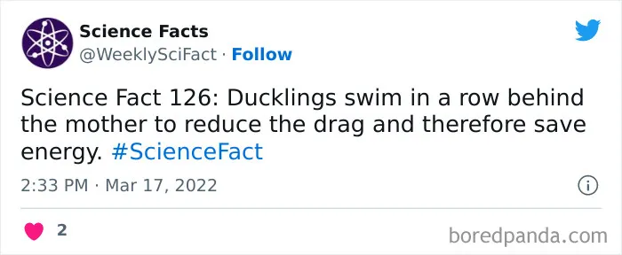 179 Science Facts That Are Deliciously Curious