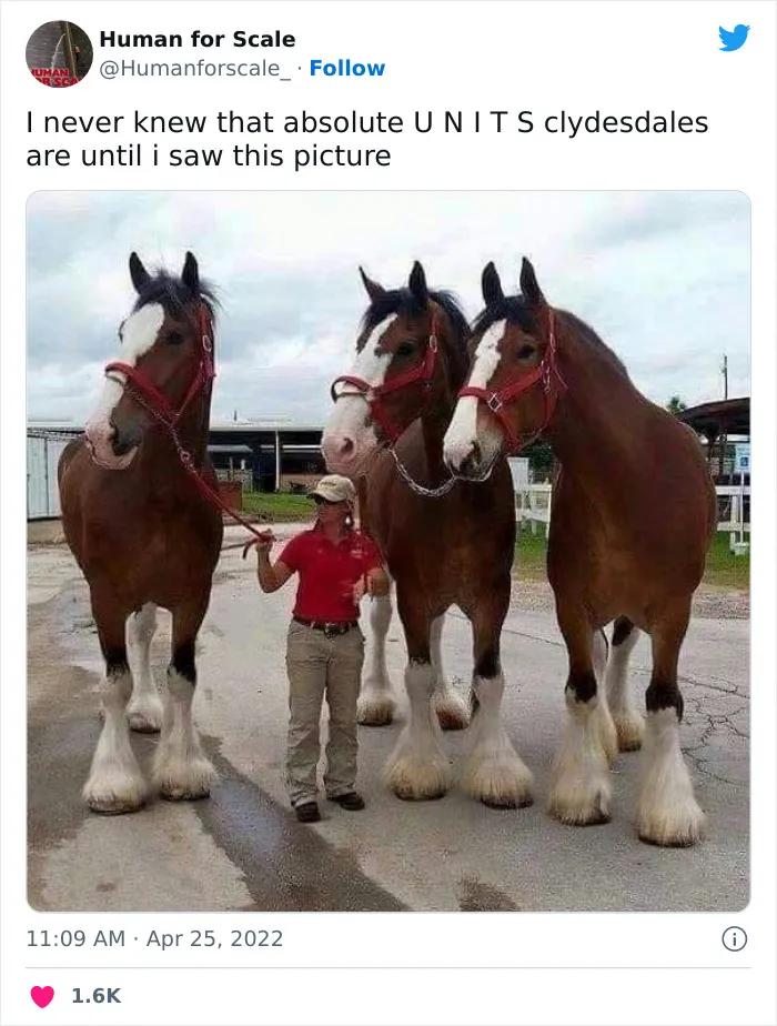 40 Photos With Humans For Scale To Show Just How Big Stuff Really Is, As Shared On This Twitter Page