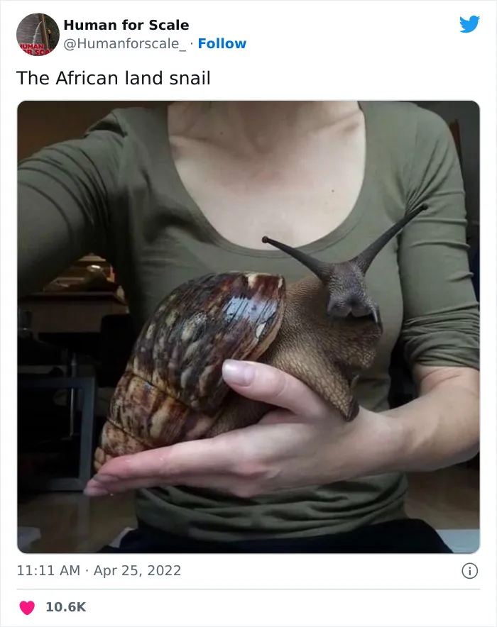 40 Photos With Humans For Scale To Show Just How Big Stuff Really Is, As Shared On This Twitter Page