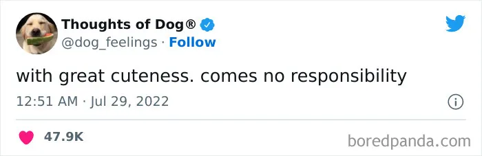 40 Of The Most Hilarious And Wholesome Dog Thoughts, As Shared By This Twitter Account (New Pics)