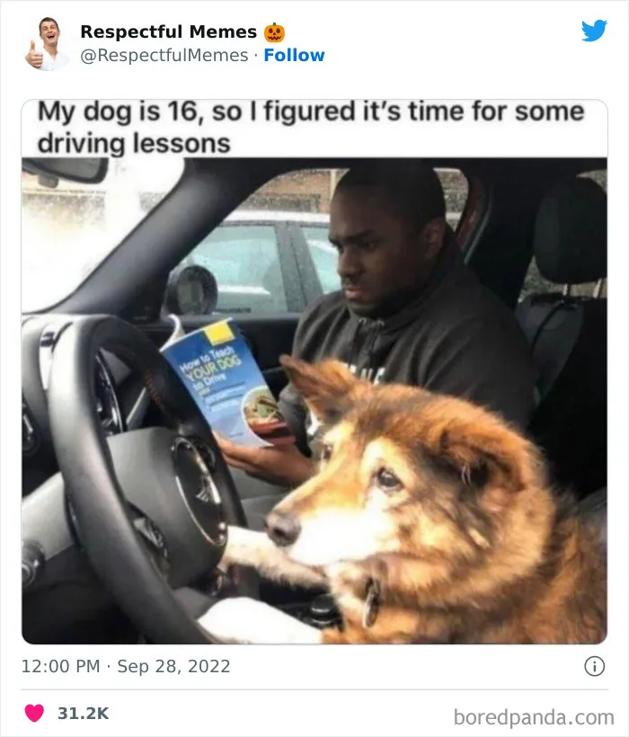 50 Memes That Are So Wholesome, You Can Even Show Them To Your Grandma (New Pics)
