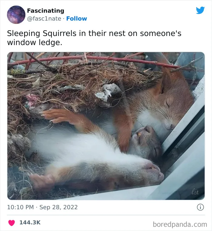 This Twitter Page Shares Interesting Facts About The World, And Here Are 45 That Might Surprise You