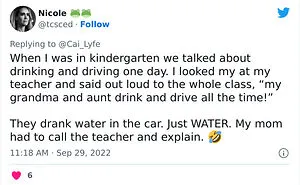 40 Times Kids Delivered A Story In Their Own Words Which Resulted In Awkward And Hilarious Misunderstandings