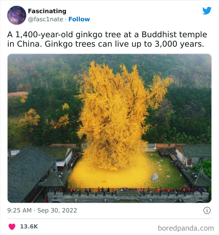This Twitter Page Shares Interesting Facts About The World, And Here Are 45 That Might Surprise You