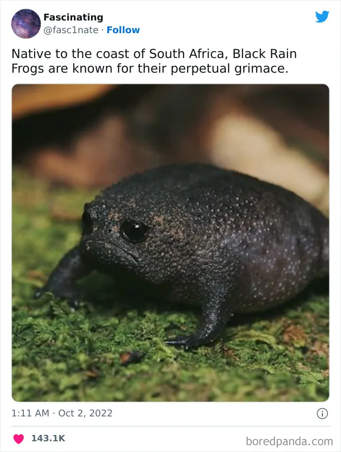 This Twitter Page Shares Interesting Facts About The World, And Here Are 45 That Might Surprise You
