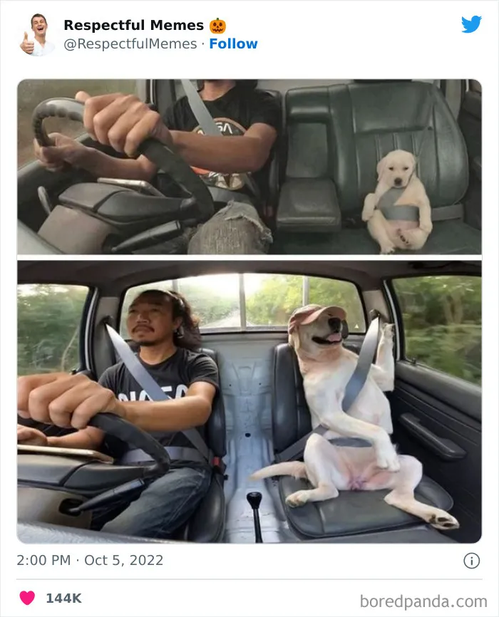50 Memes That Are So Wholesome, You Can Even Show Them To Your Grandma (New Pics)