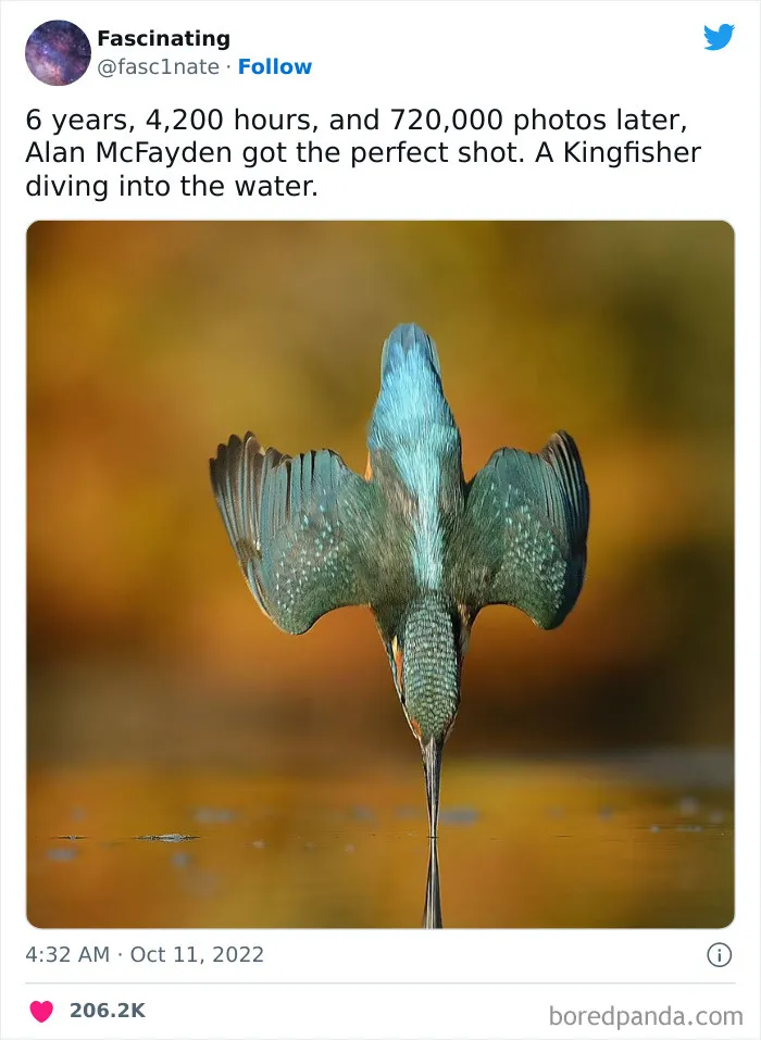 This Twitter Page Shares Interesting Facts About The World, And Here Are 45 That Might Surprise You