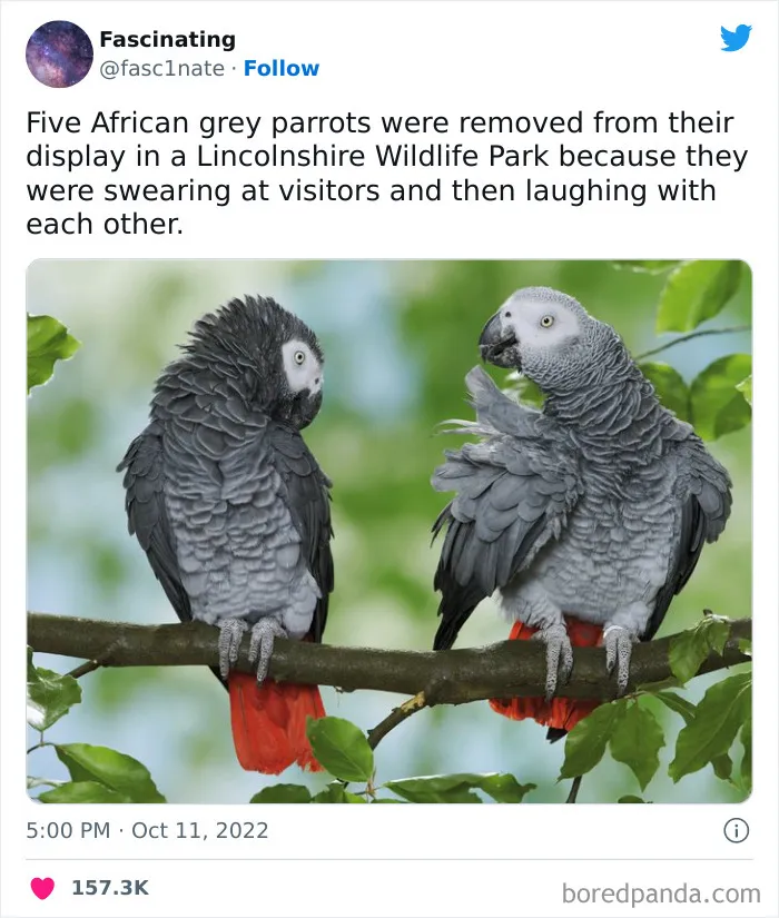This Twitter Page Shares Interesting Facts About The World, And Here Are 45 That Might Surprise You