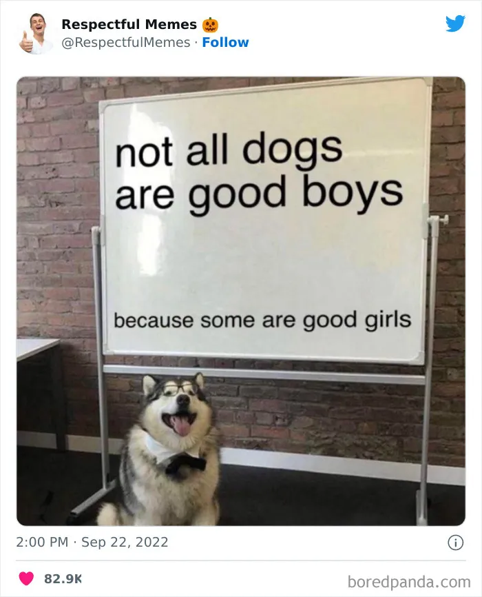 50 Memes That Are So Wholesome, You Can Even Show Them To Your Grandma (New Pics)