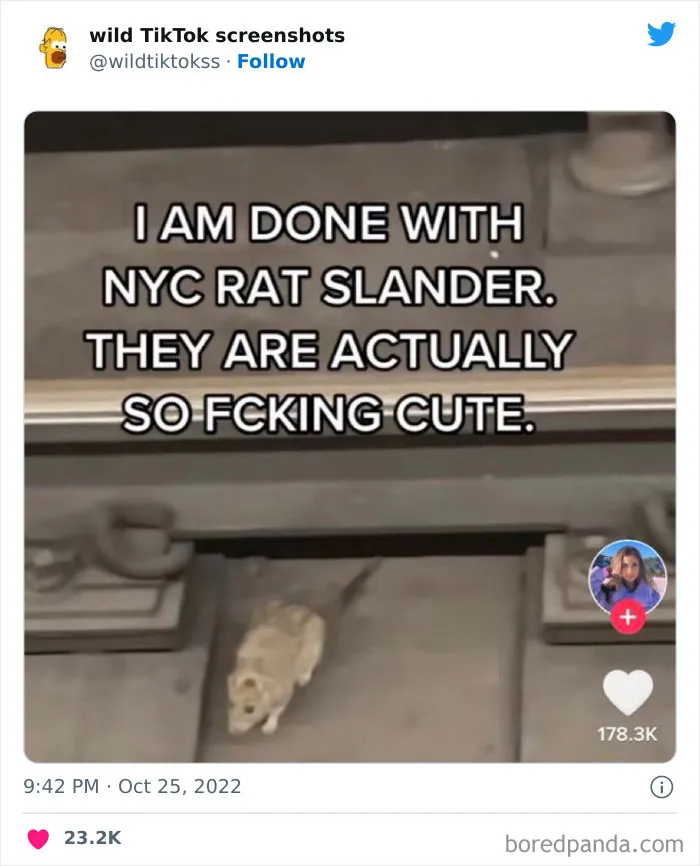 35 Times People Posted Such Unhinged Things On TikTok, This Twitter Page Just Had To Shame Them (New Pics)