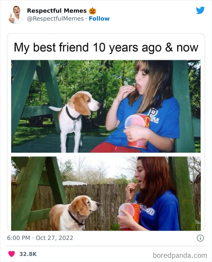 50 Memes That Are So Wholesome, You Can Even Show Them To Your Grandma (New Pics)