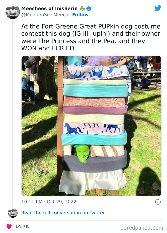 The Princess And The Pea