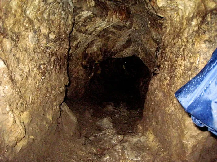 People Are Sharing The Most Terrifying Things They've Witnessed In Real Life (40 Posts)