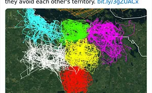 This Twitter Page Shares Interesting Facts About The World, And Here Are 45 That Might Surprise You
