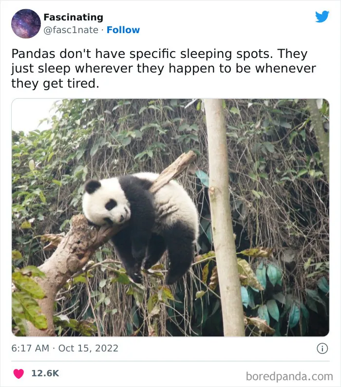 This Twitter Page Shares Interesting Facts About The World, And Here Are 45 That Might Surprise You