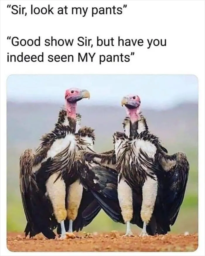 People Are Creating Memes About Nature And All Things Environment, Here Are 35 Of The Best Ones Shared On This Facebook Page