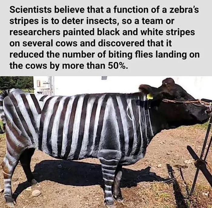 People Are Creating Memes About Nature And All Things Environment, Here Are 35 Of The Best Ones Shared On This Facebook Page