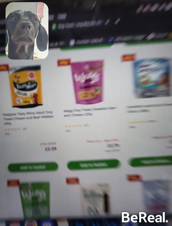 BeReal: una aplicación para ser auténticos hasta en los momentos más locos (30 imágenes)