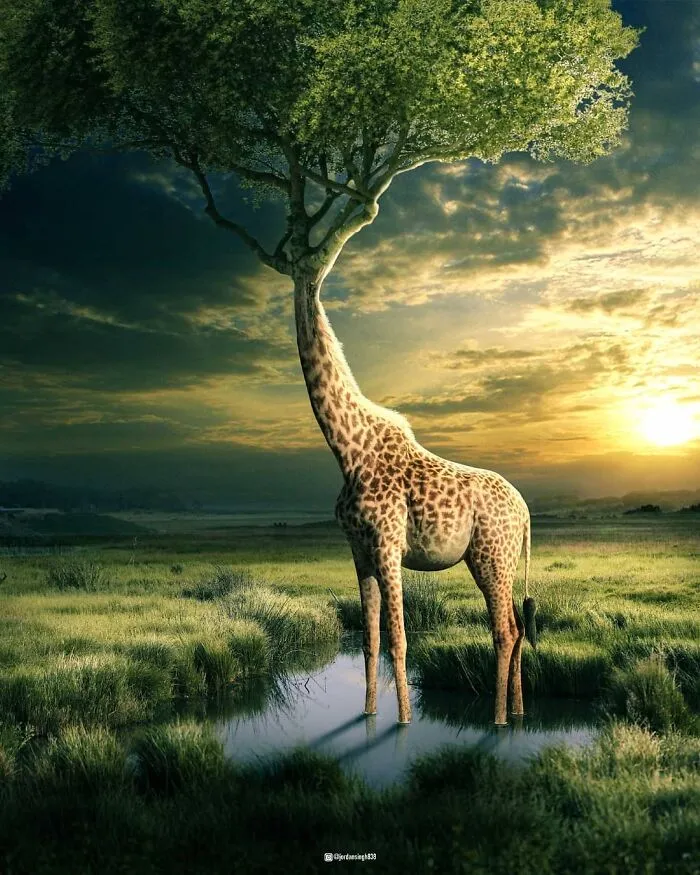 Artist Uses His Photoshop Skills To Create 48 Fantasy Edits And Surreal Worlds