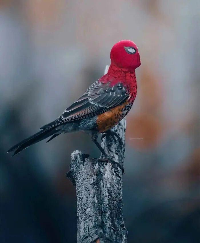 Artist Uses His Photoshop Skills To Create 48 Fantasy Edits And Surreal Worlds