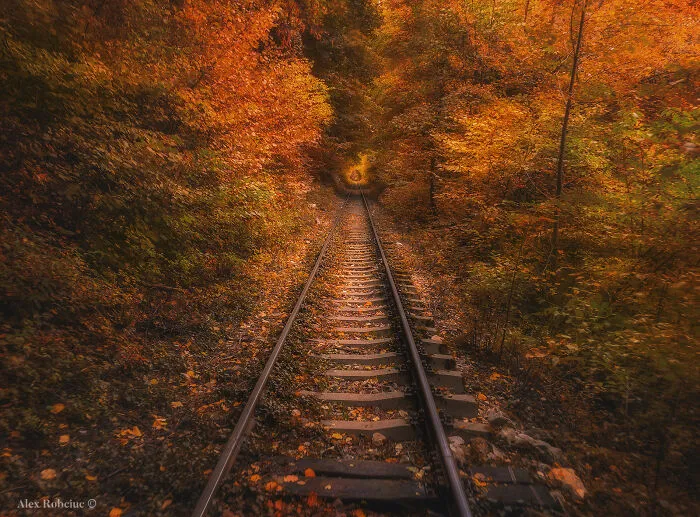 I Photographed Breathtaking Autumn Scenery From One Of The Most Spectacular Railways In South-Eastern Europe (8 Pics)