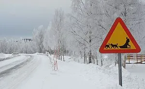 Funny Traffic Sign From Sweden